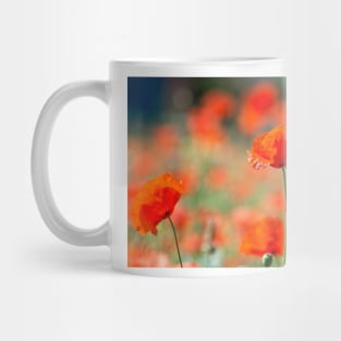 Field of poppies Mug